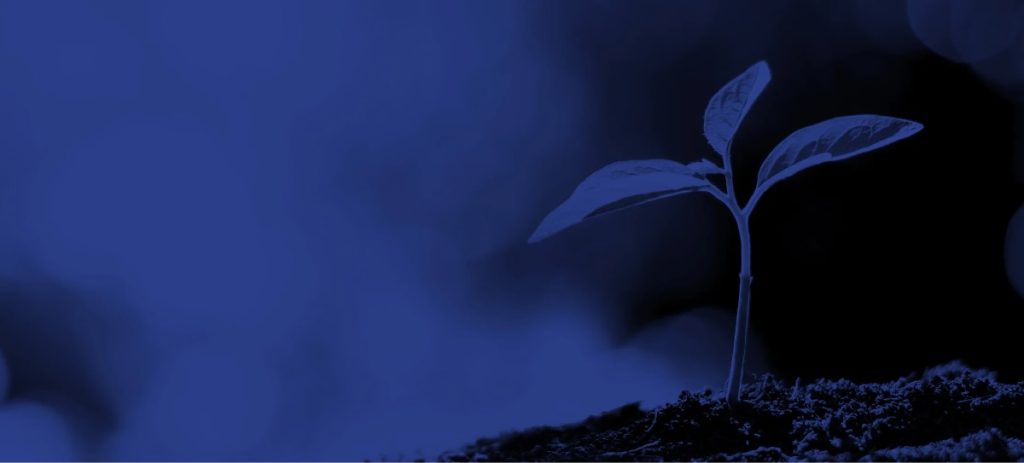 sustainability-lighting-xal@2x
