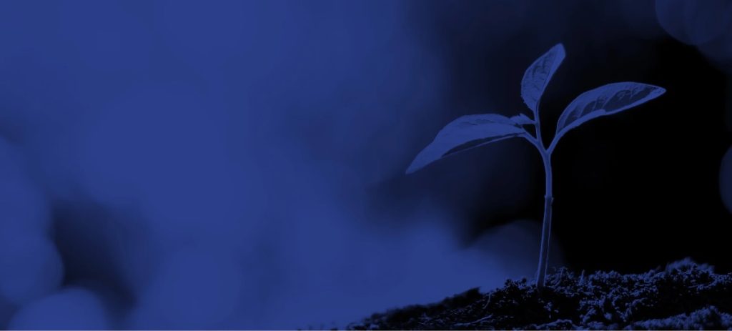 sustainability-lighting-xal@2x
